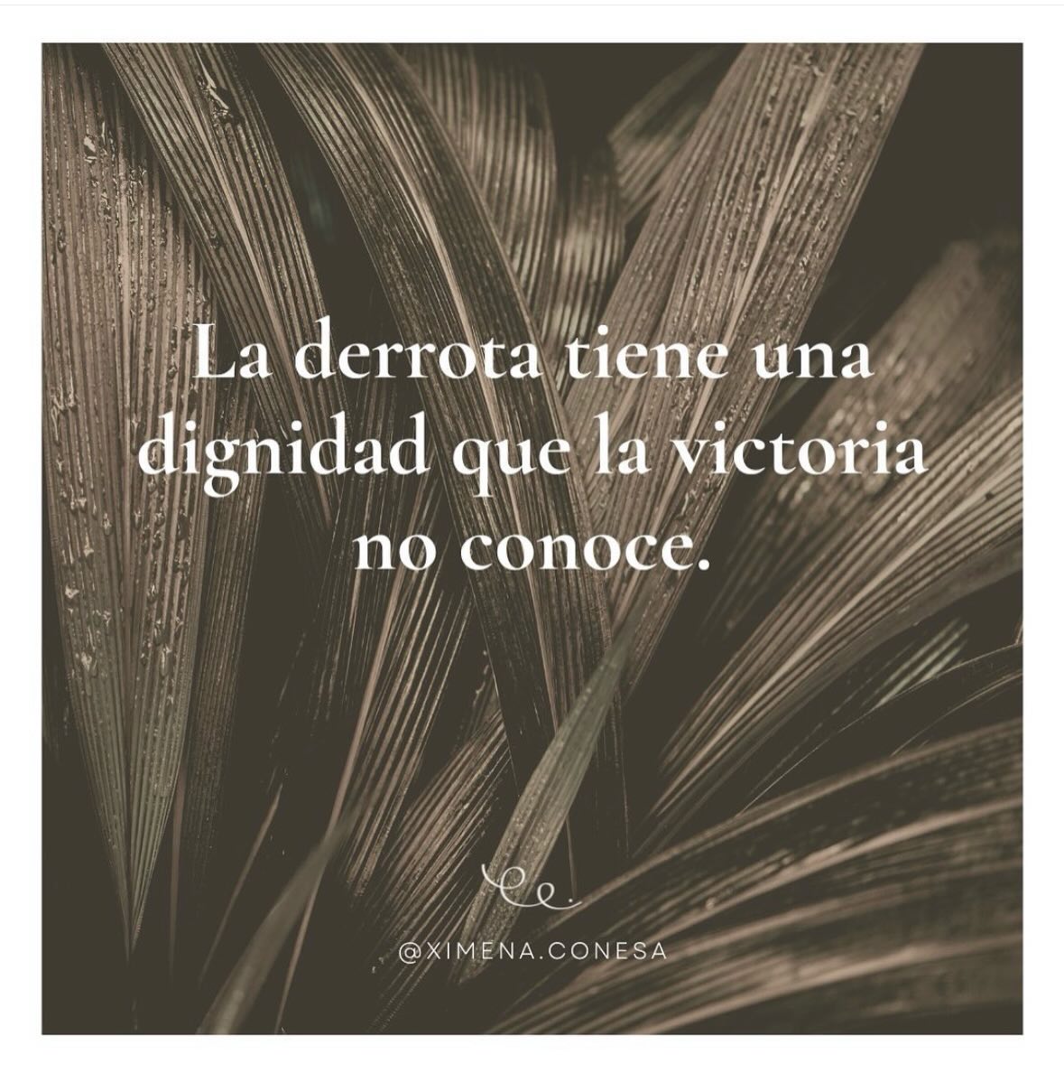 Post de Instagram
